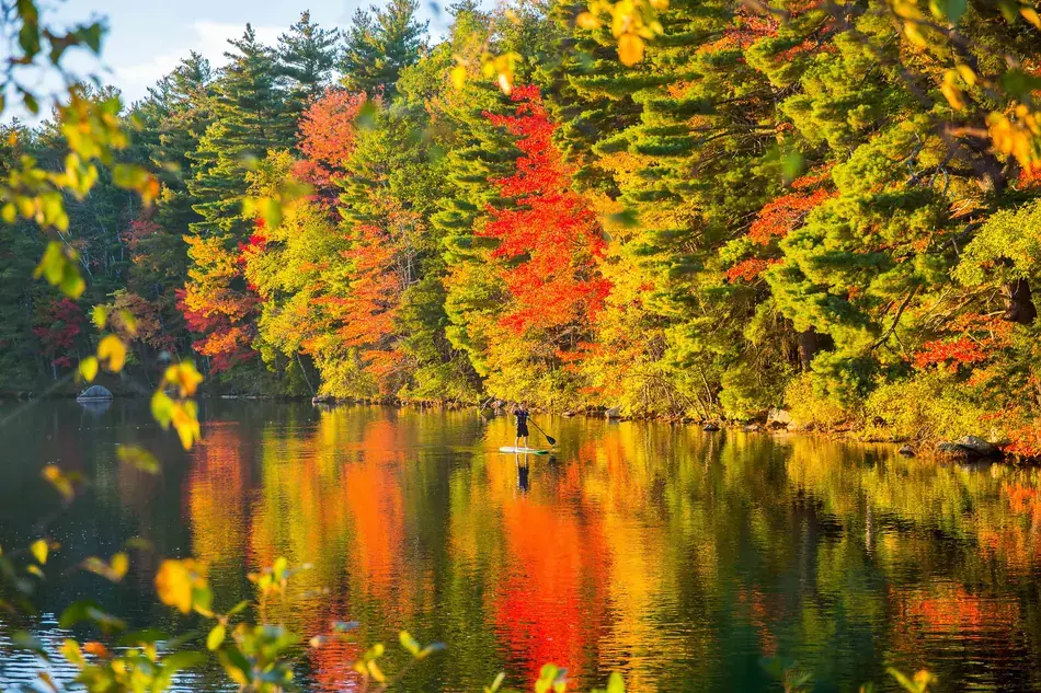 Pawtuckaway State Park, вид места