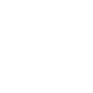 website icon