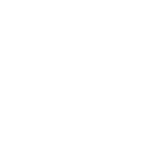 website icon