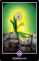 0.Старший аркан⦁— Дурак