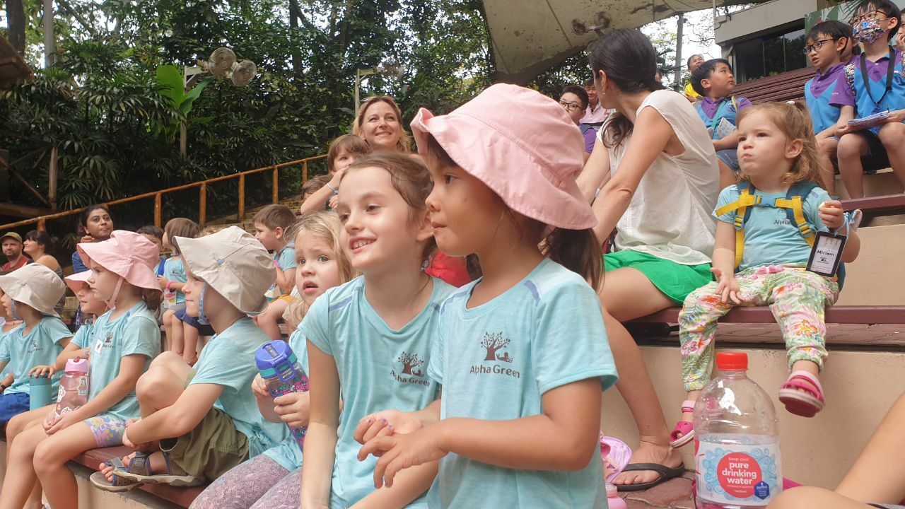 Children from Alpha Green Preschool exploring nature near Bukit Timah