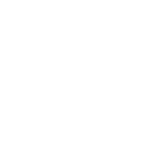 website icon