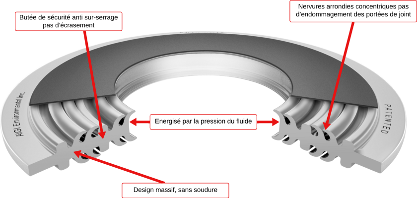 Fishbone gasket