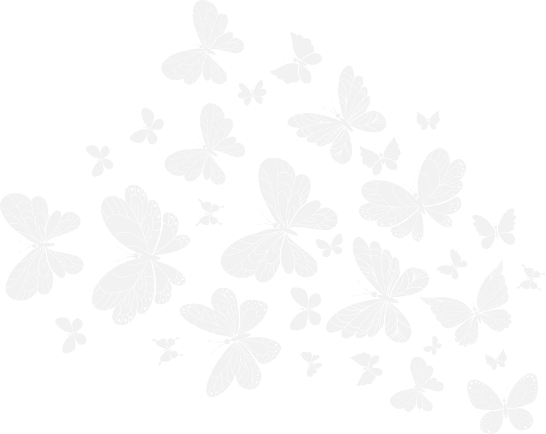 Крупные бабочки на фоне