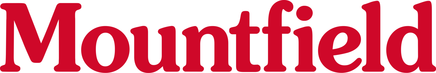 Mountfield