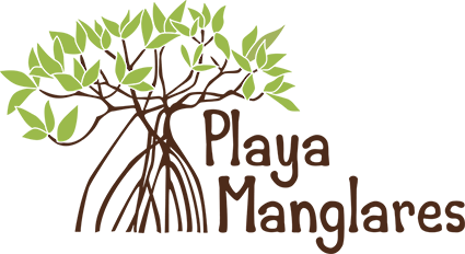Playa Manglares