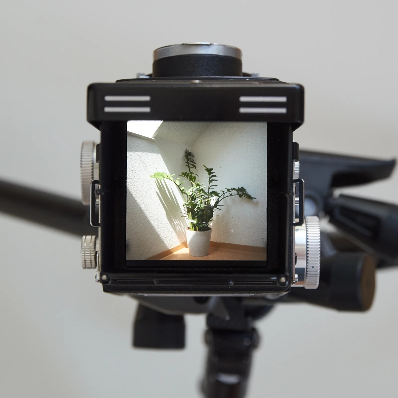 Ultra bright focusing screens for Rolleiflex - Hasselblad - SL66