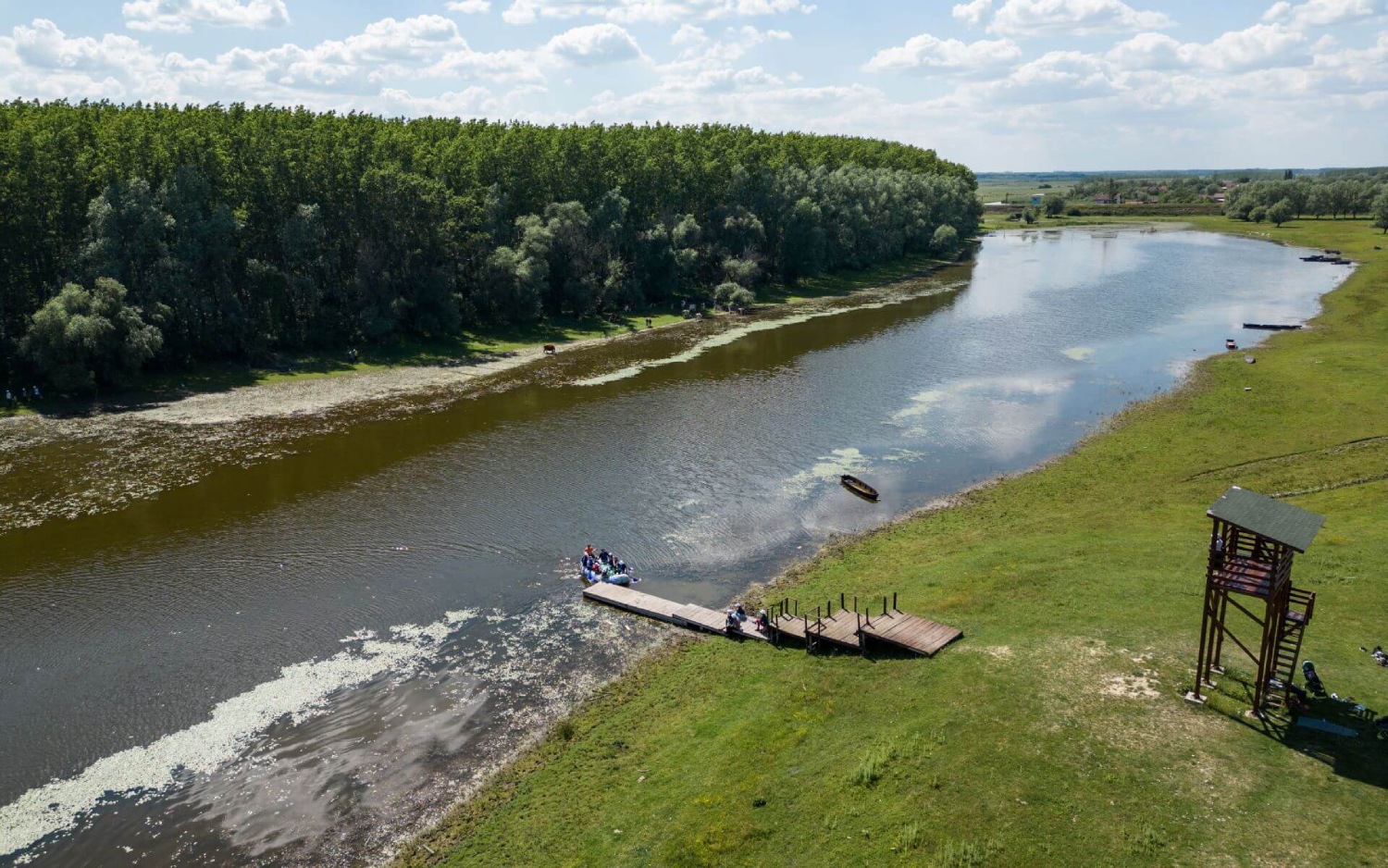 Pogled iz ptičje perspektive na rezervat Močvara Koviljsko-Petrovaradin, smešten duž reke Dunav, u blizini Novog Sada. Na slici je prikazan drveni pričal sa katerom-zapovednikom, travom obalom sa posmatračkom kulom i gustim priobalnim šumama. Sa više od 200 vrsta ptica, uključujući retke orlove belorepe i crne rode, ovaj ekosistem od 5.895 hektara trenutno se aktivno obnavlja, uključujući uklanjanje invazivnih vrsta drveća i popravku ekološke infrastrukture