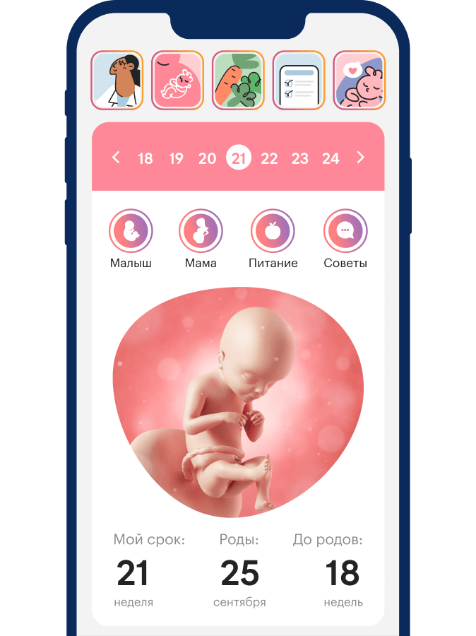 maam — календарь беременности