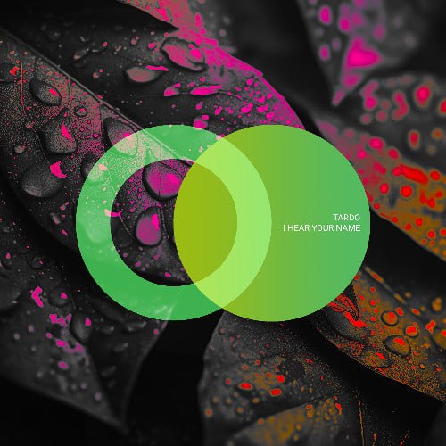 Total Control — TarDo