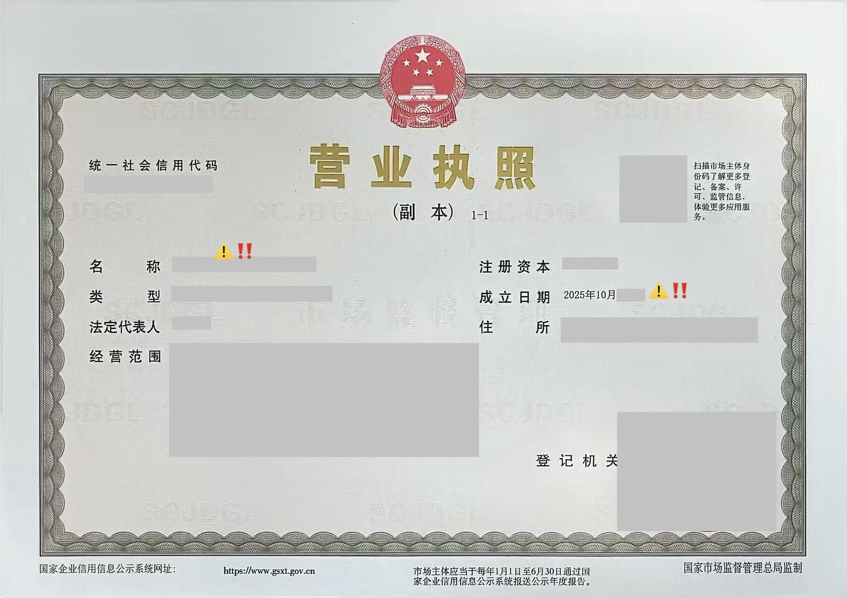 Business licence of the selling company, registered in October 2025 — seven months before the factory visit