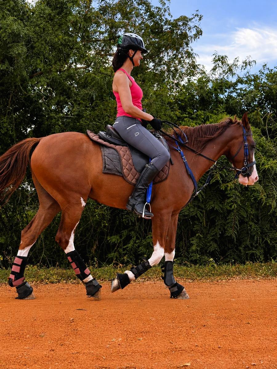 Bay horse ridden calmly under saddle at Vonfidel Ranch in Sri Lanka.