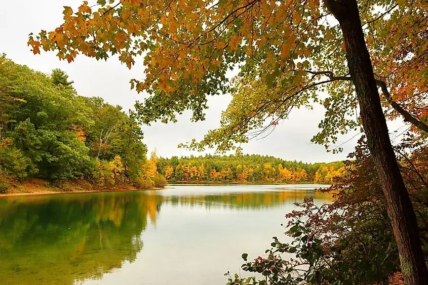 Walden Pond, вид места