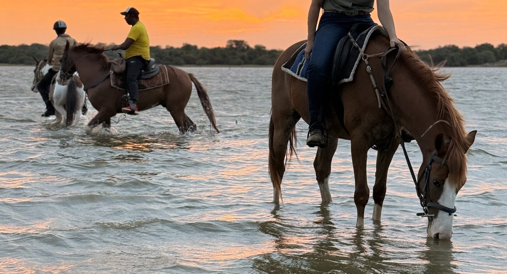 Riders entering shallow water at sunset at Vonfidel Ranch in Sri Lanka.