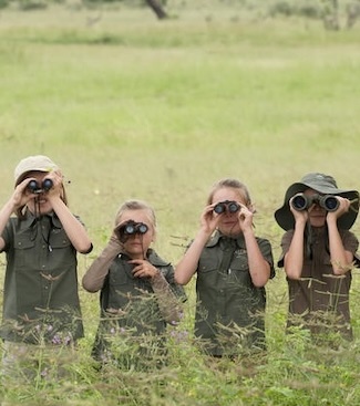 Львы на сафари в Кении