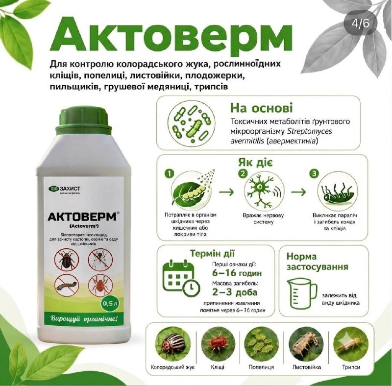 Інфографіка Актоверм БІО