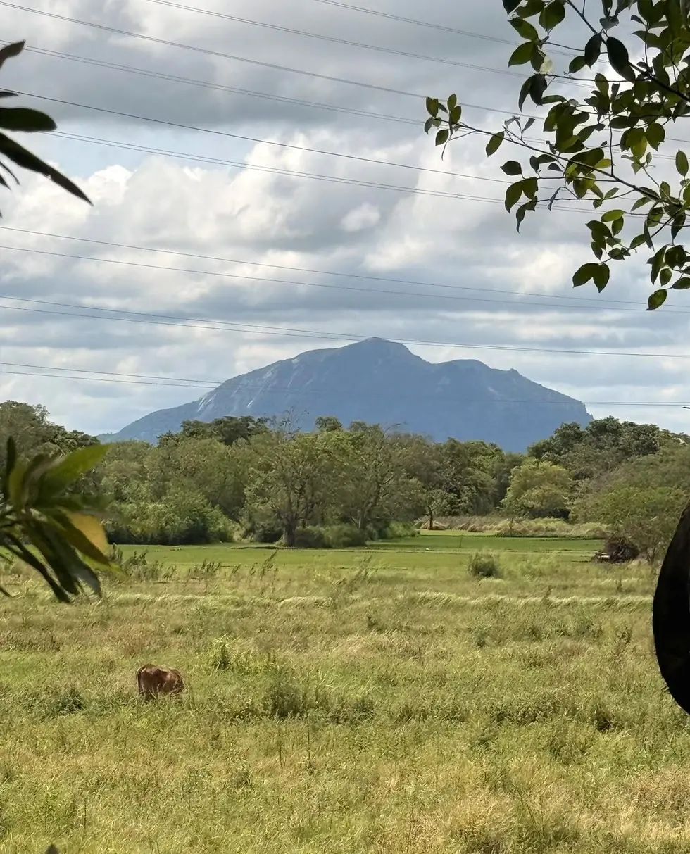 Countryside landscape near Lakewood Mounted Estate in Habarana, Sri Lanka, with distant hills and open green land.