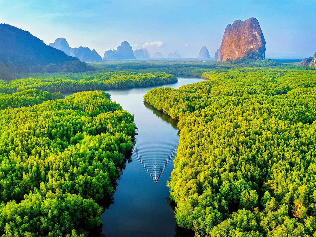 Limestone karsts of Phang Nga Bay