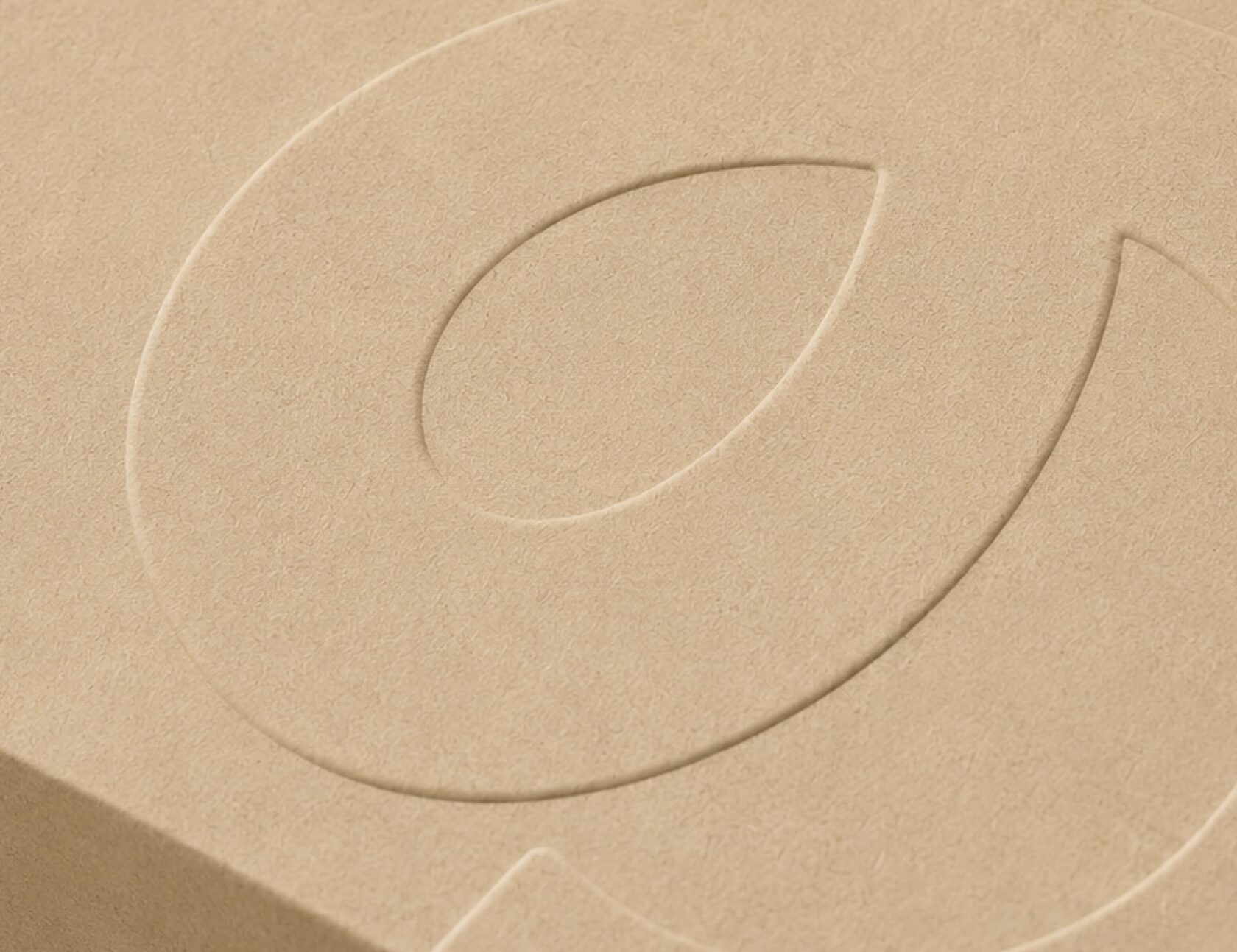Close-up of the embossed logo on the box