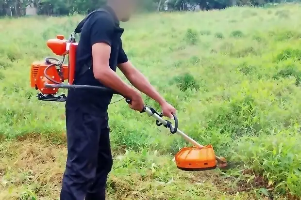 Pasture being cut back with a brush cutter.