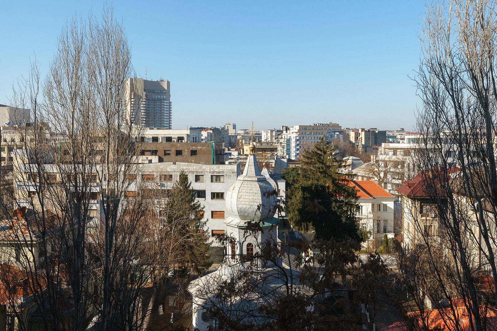 a view of a city with trees and buildings