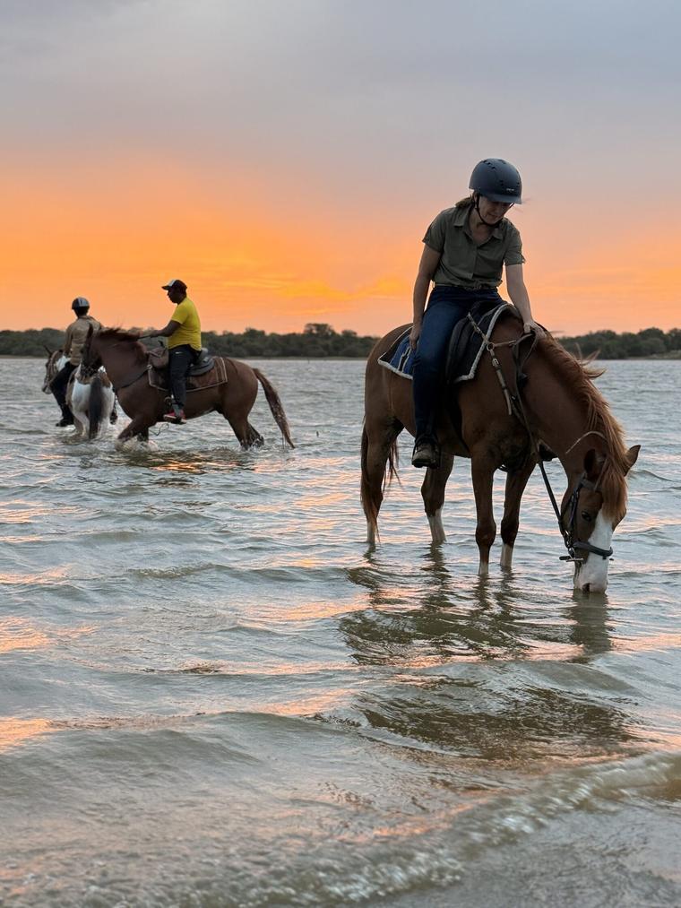 Riders and horses cooling in a lake at sunset during a private Vonfidel Ranch riding holiday in Sri Lanka