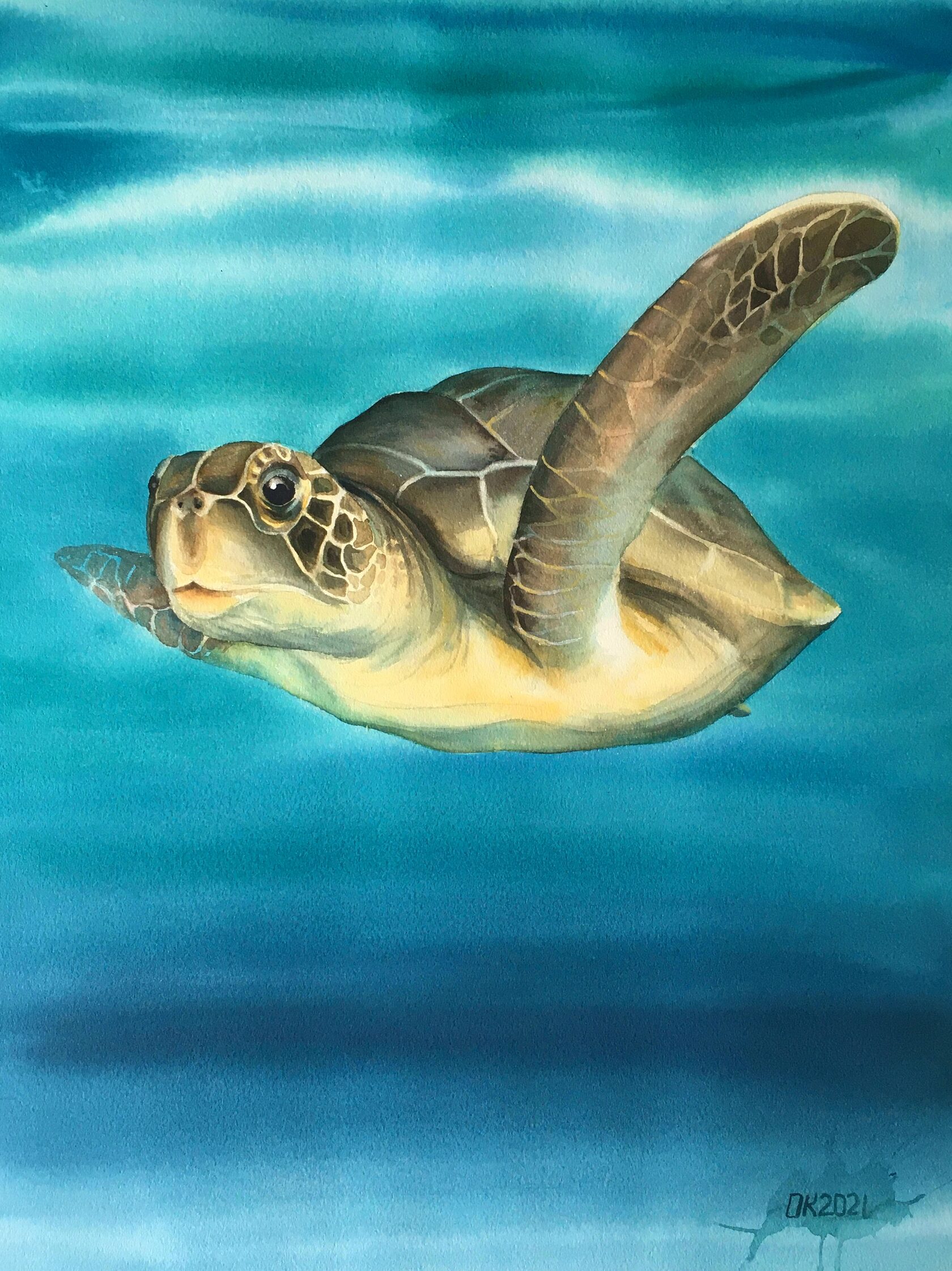 Sea Turtle painting