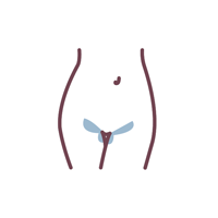 Bikini line — front view, treated area in blue