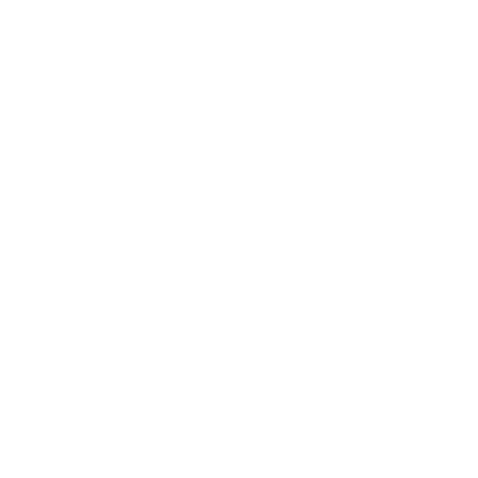 Alberto Netti