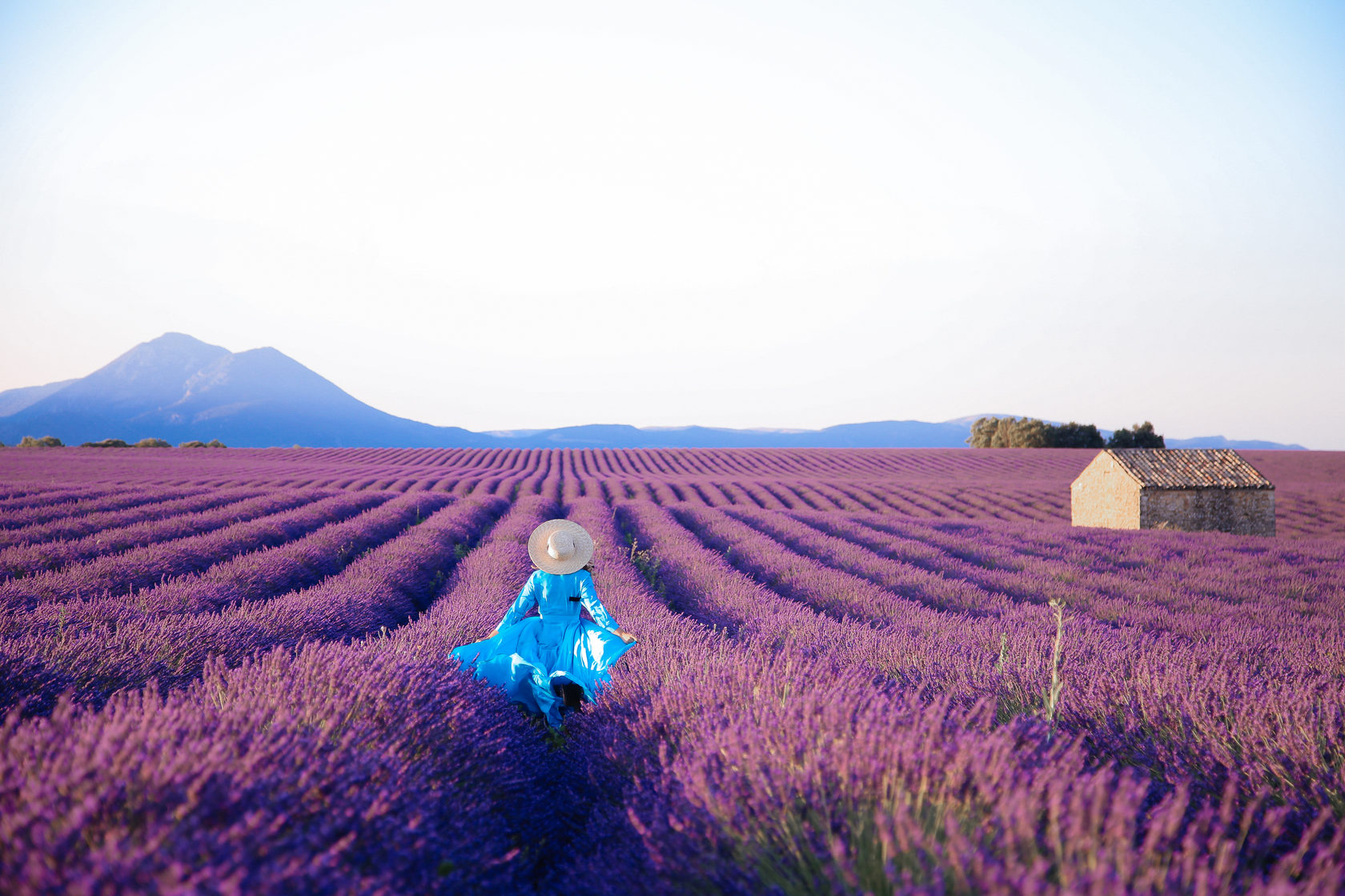 Экскурсия на лавандовые поля. Экскурсия на лавандовые поля. Лавандовые поля алания. Экскурсия на лавандовые поля. Лефкадия краснодарский край лавандовые поля.