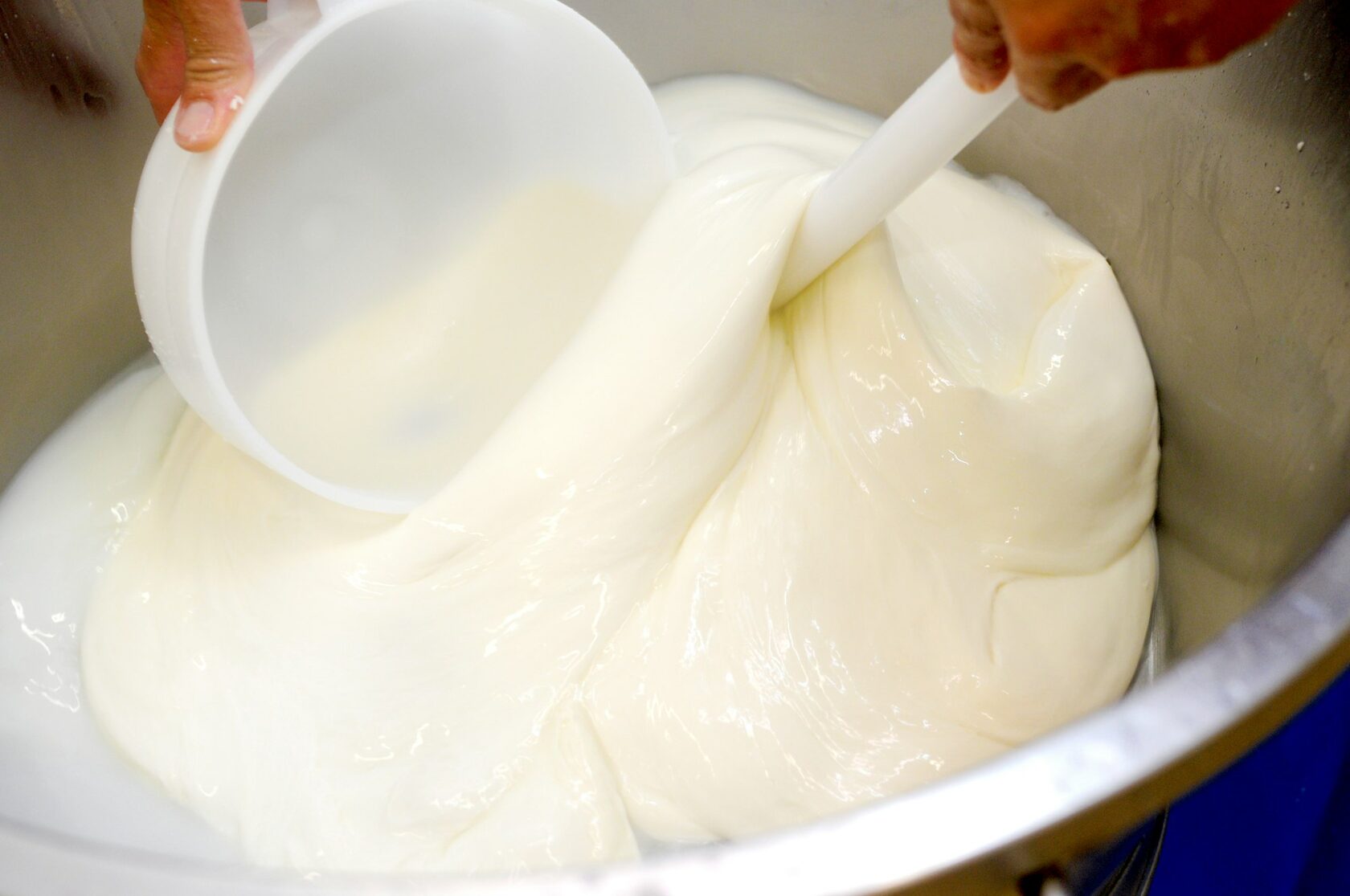 Mozzarella e Burrata