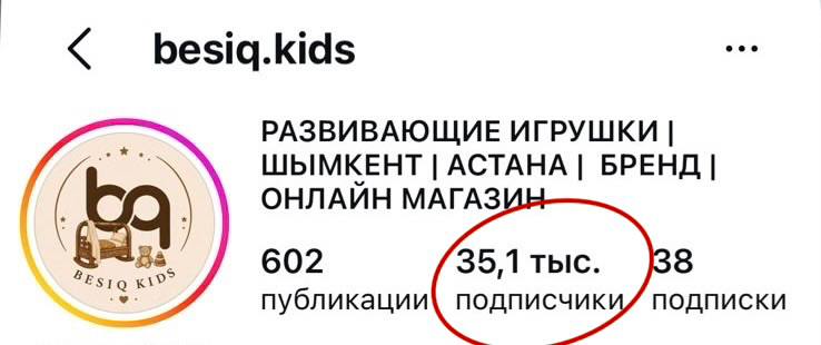 besiq.kids до — 35,1 тыс.