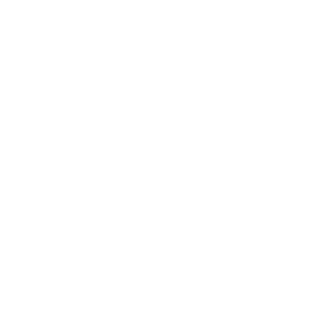 website icon