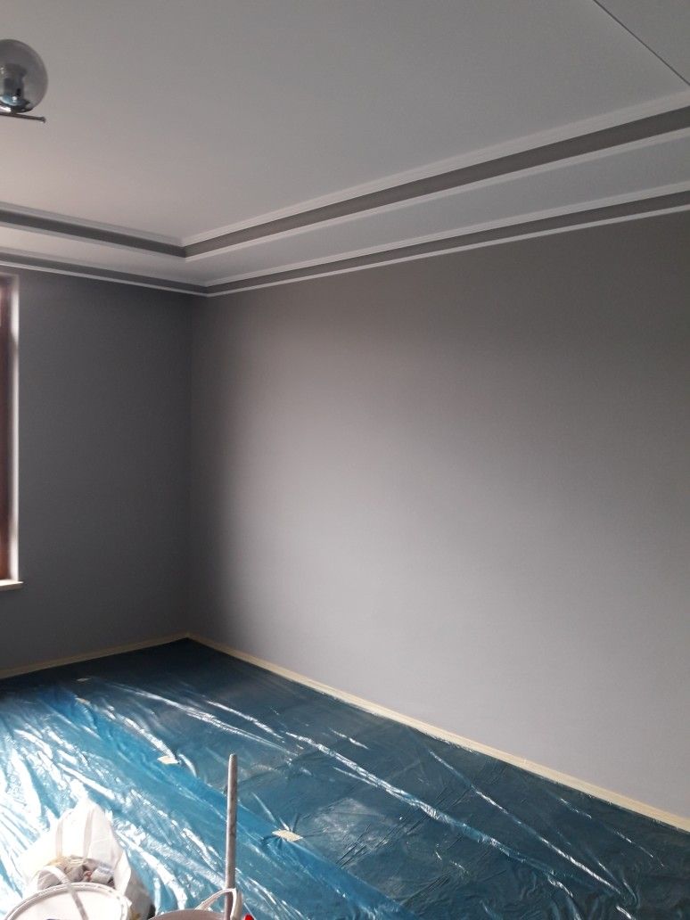 Zugrăveli și vopsitorii