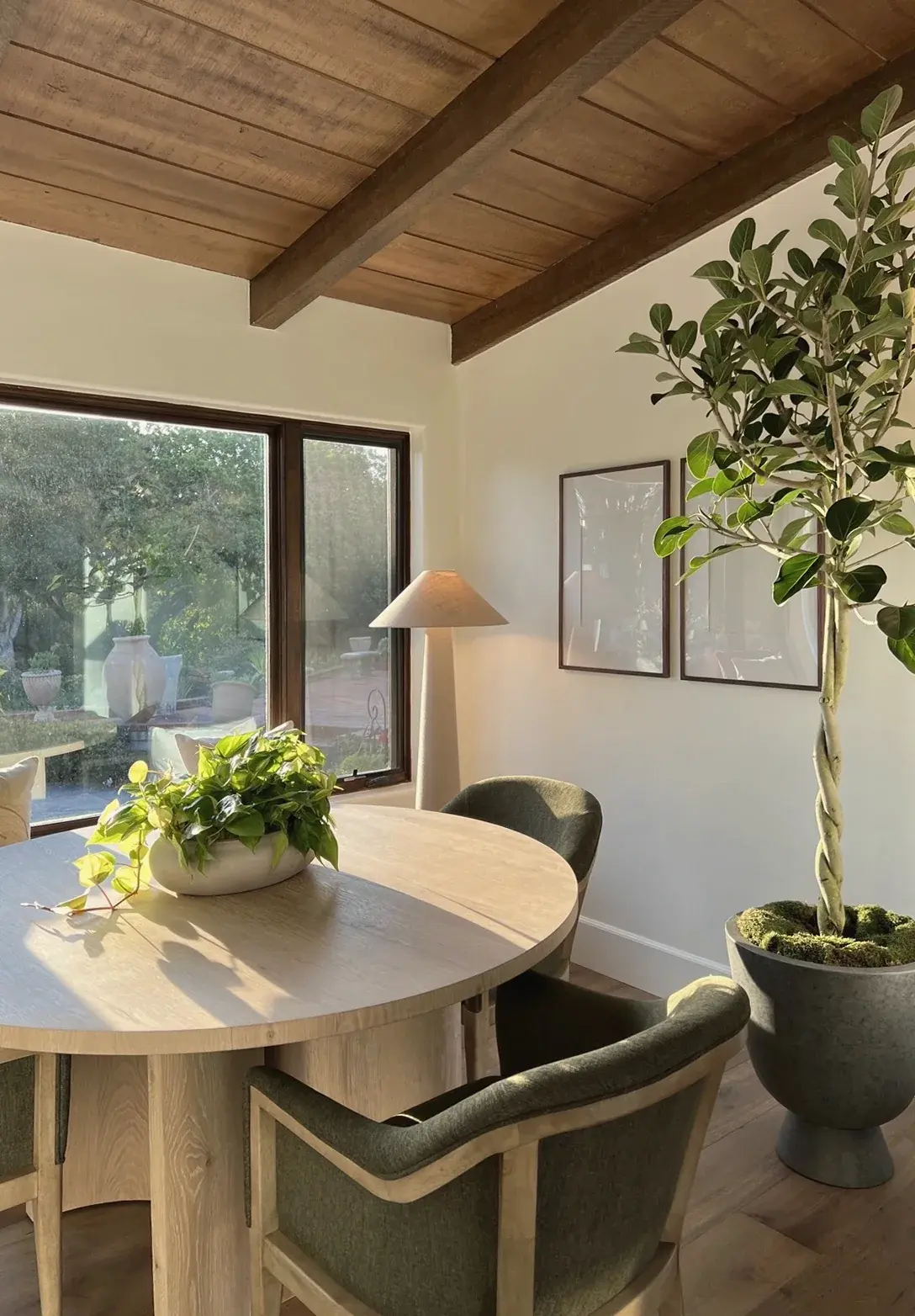 An olive tree in a dark planter by a round dining table with a pothos centerpiece