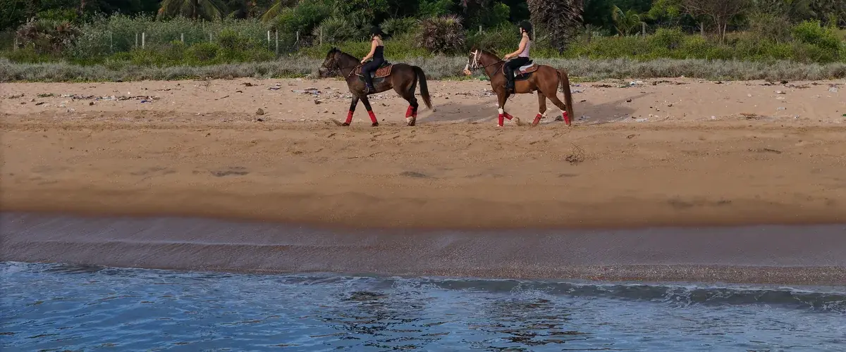 Two riders walking the shoreline north of the Ranch.