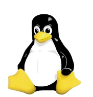 CodikUp Linux
