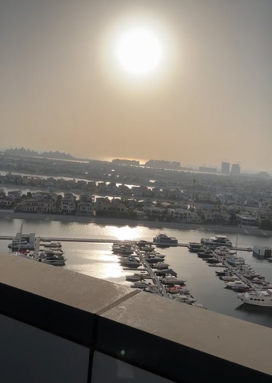 Palm Penthouse · Oceana — view from the penthouse
