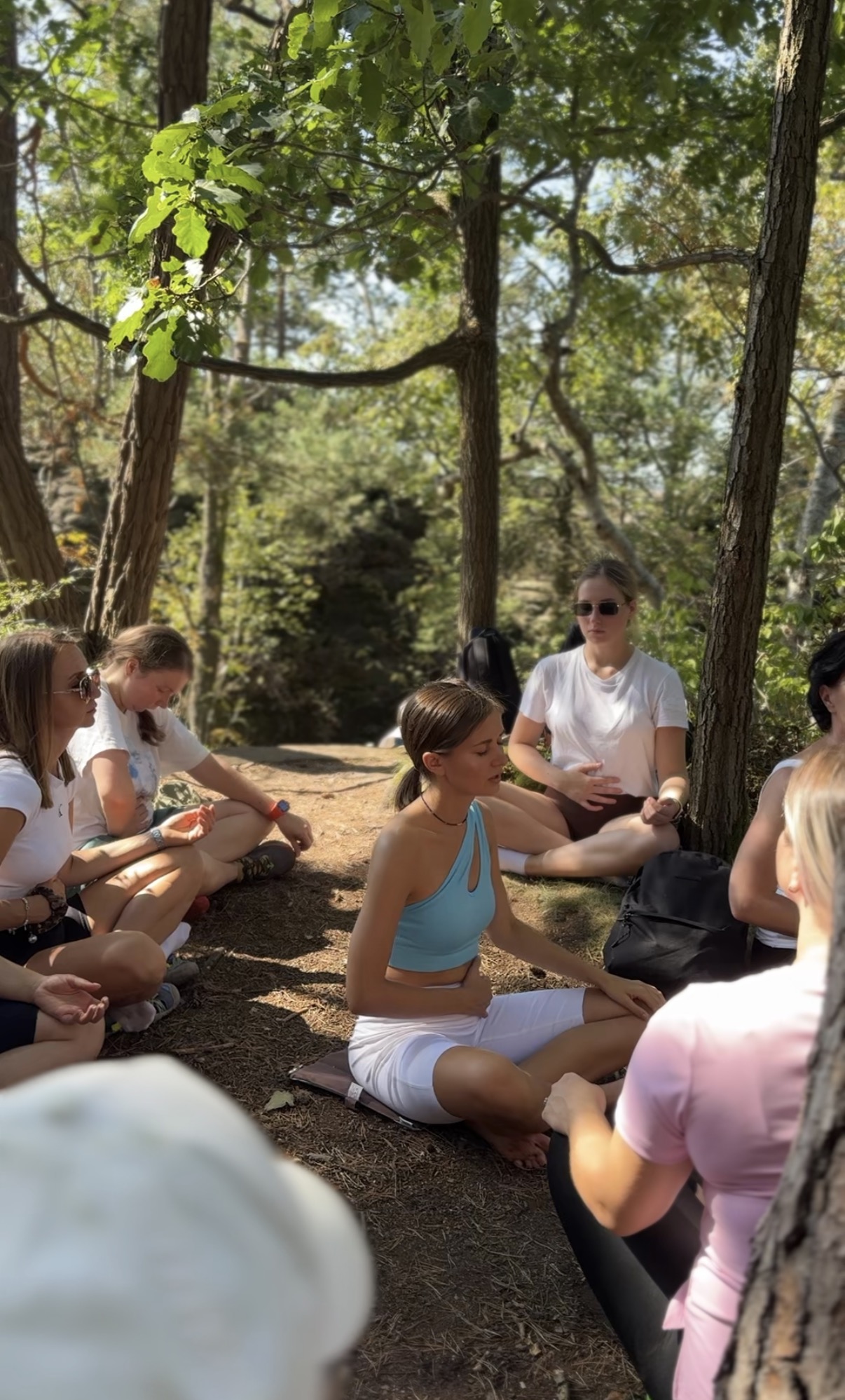 Forest Reset in der Dresdner Heide