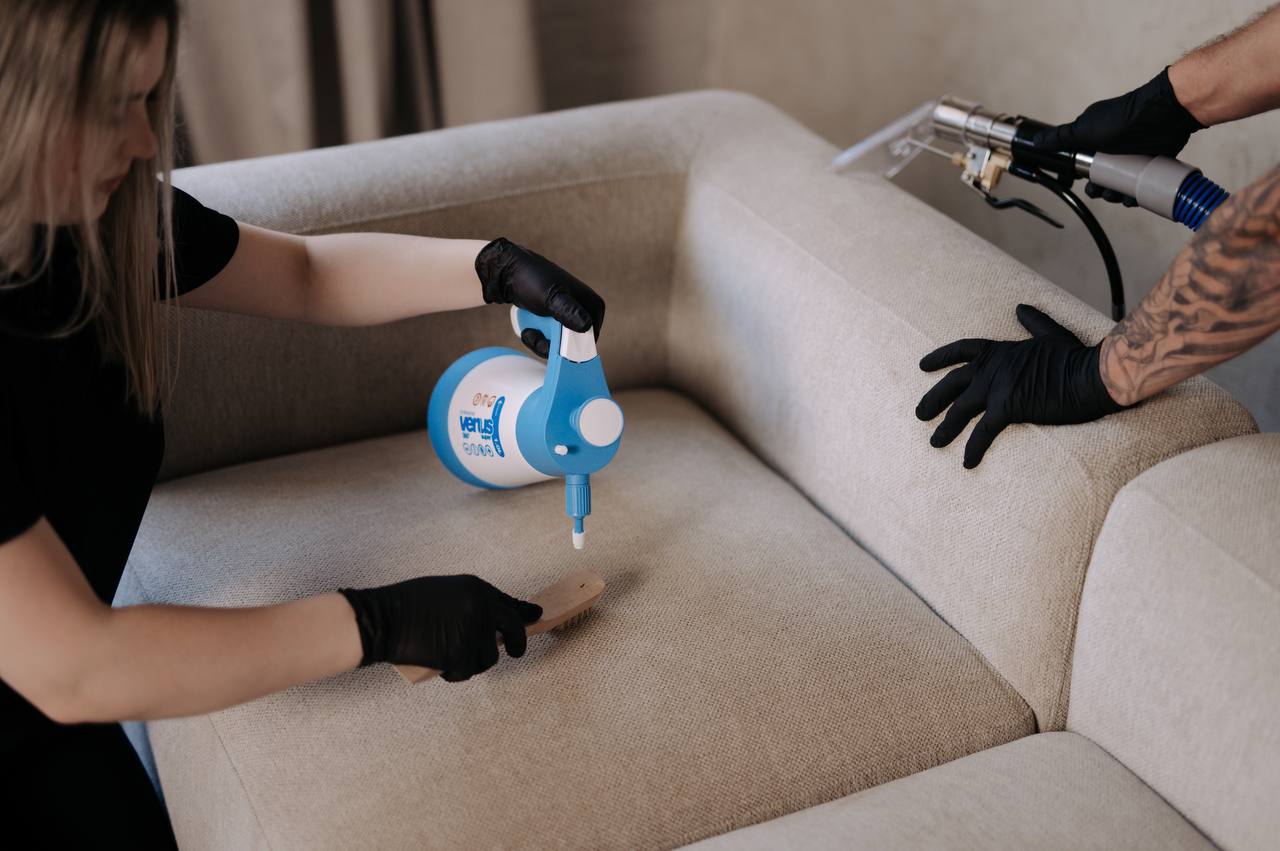 Professional carpet cleaning service