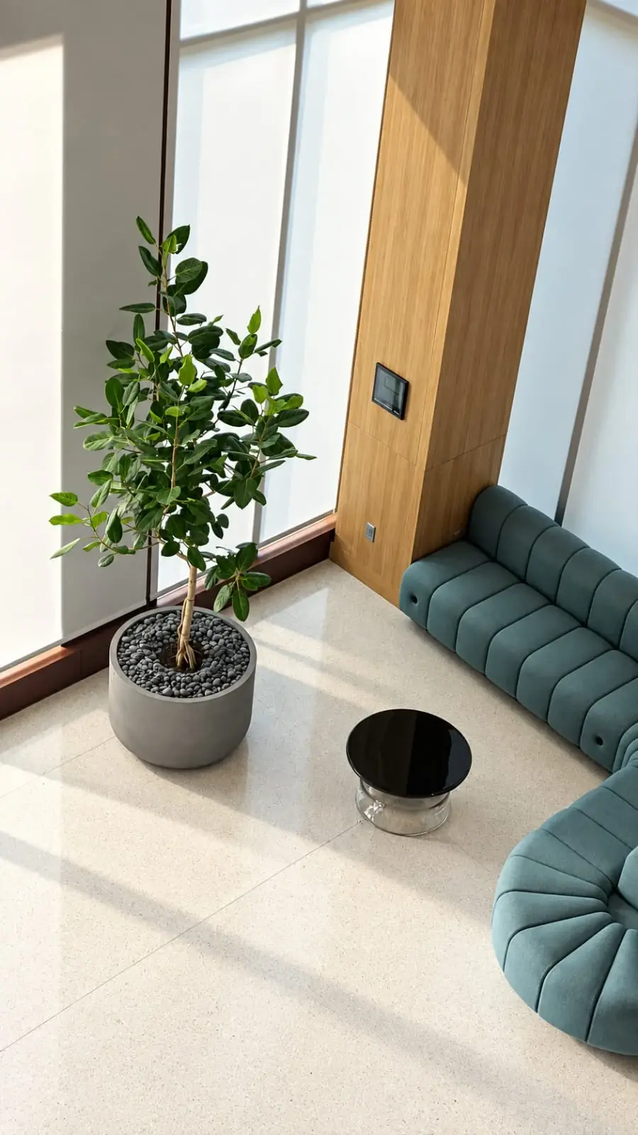 A ficus beside a teal lounge sofa, seen from above at Bristol Myers Squibb