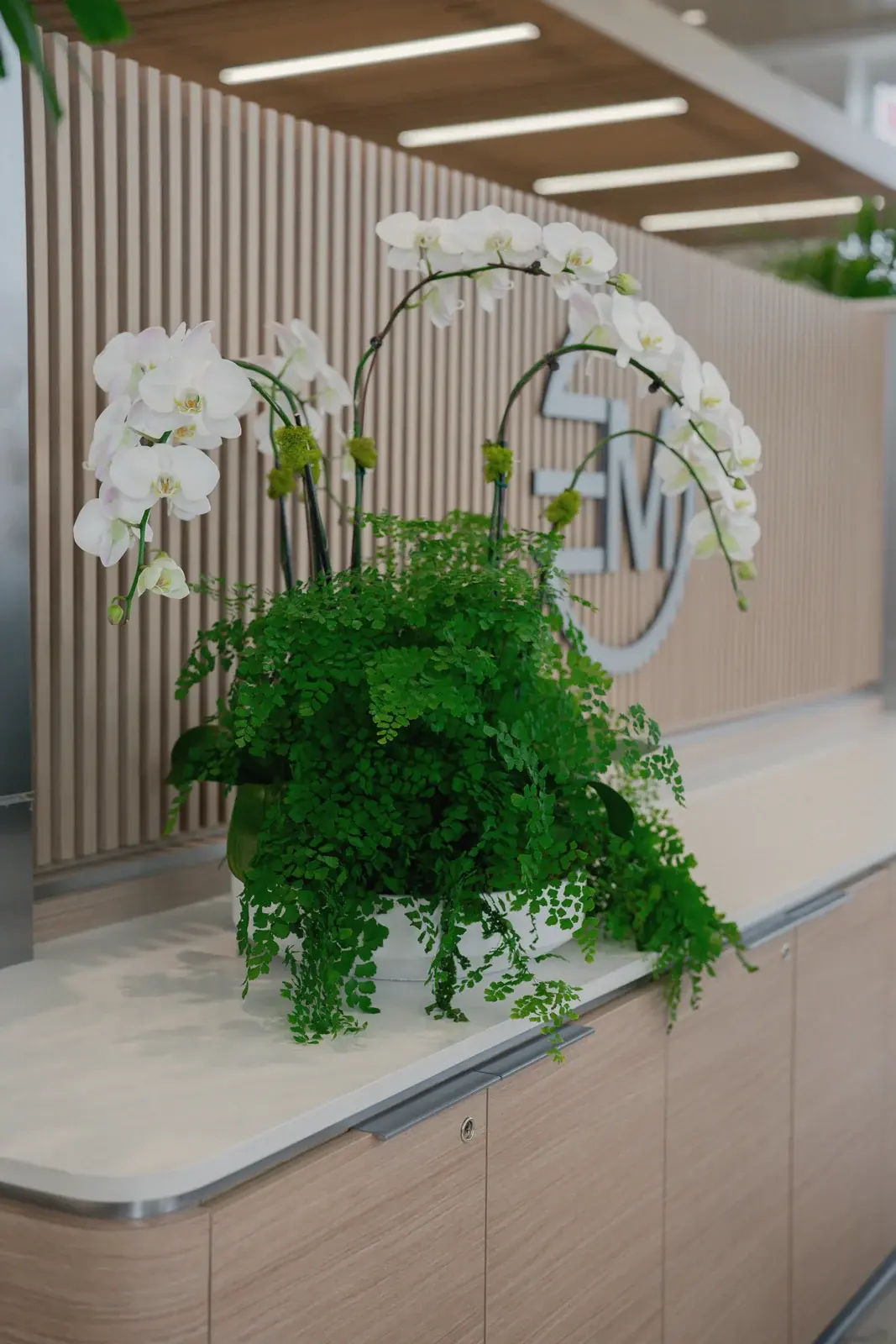 Orchids at the reception desk