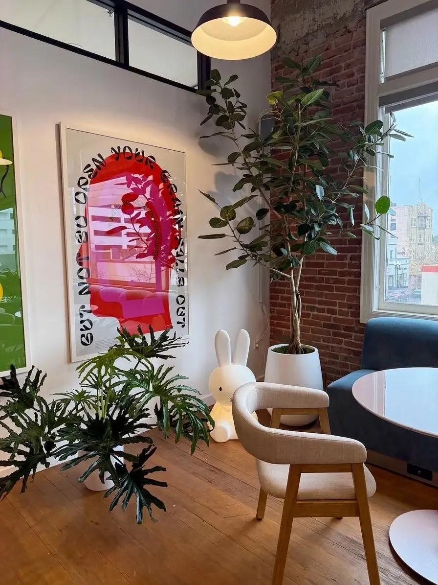 Rubber tree and philodendron in a colorful office corner
