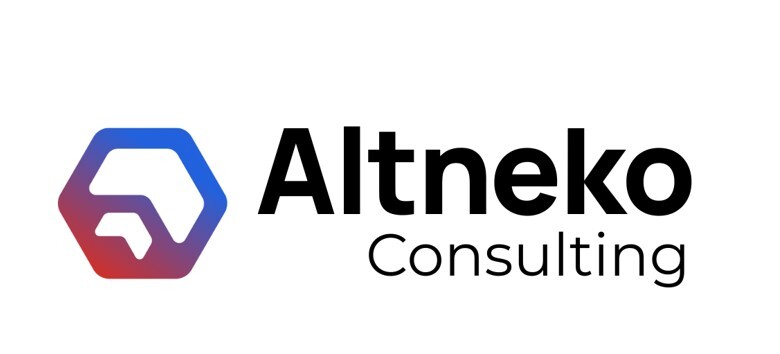  ALTNEKO CONSULTING 