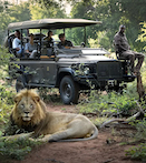 слоны в Масаи Мара