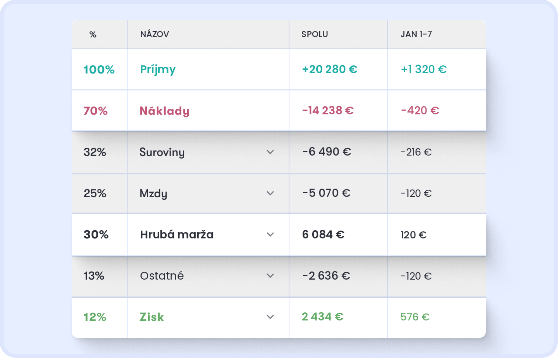 Výkaz ziskov a strát v Dishboarde — príjmy, náklady, hrubá marža a zisk v eurách