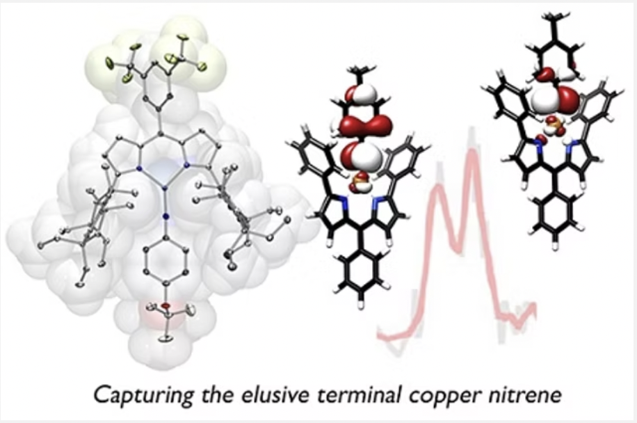 Nitrenoid Complex Publications