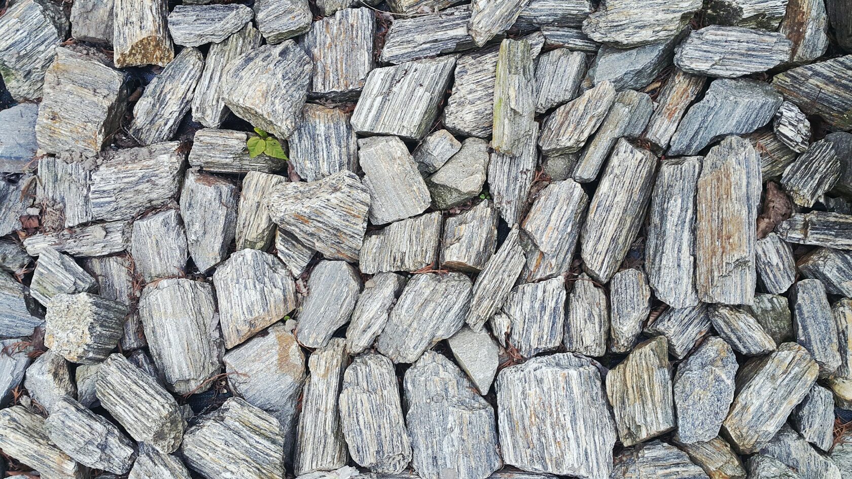 Jardín con senderos y elementos de piedra volcánica