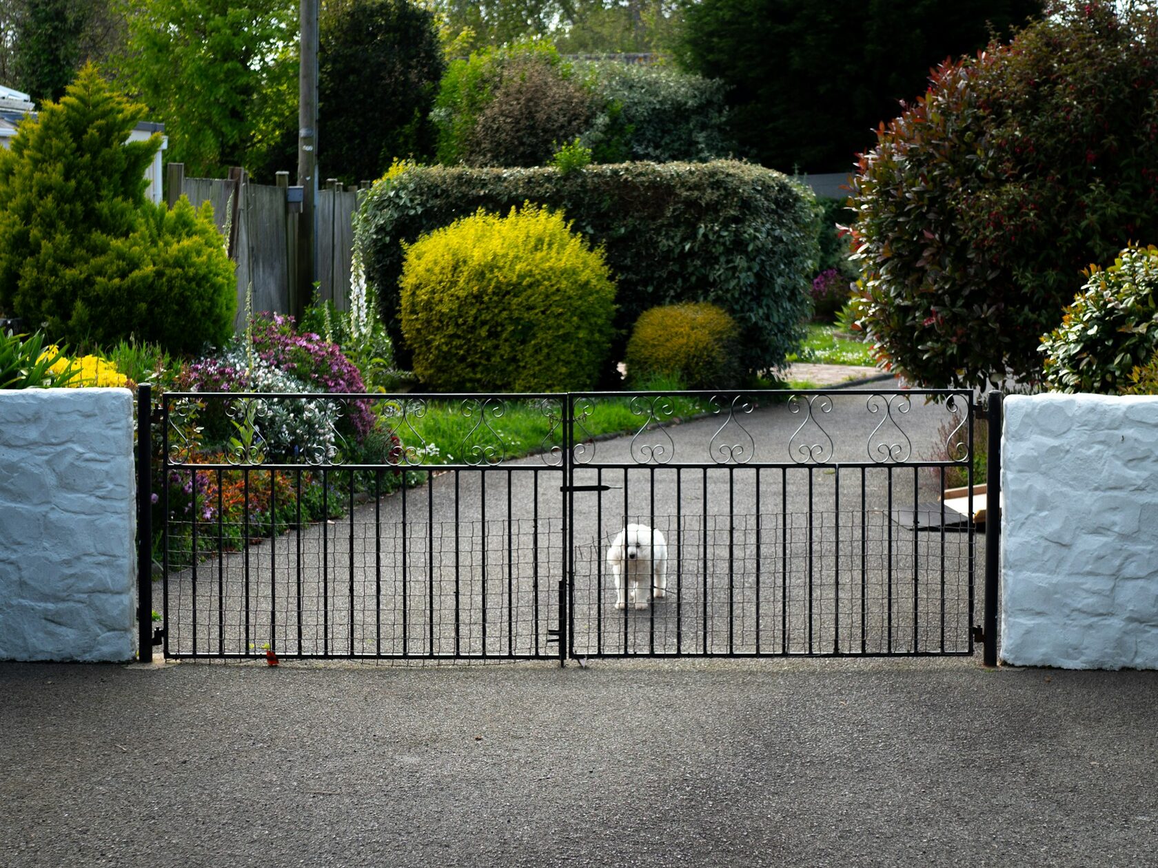 Pet safety