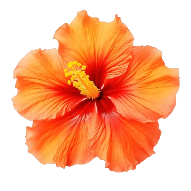 exotic flower